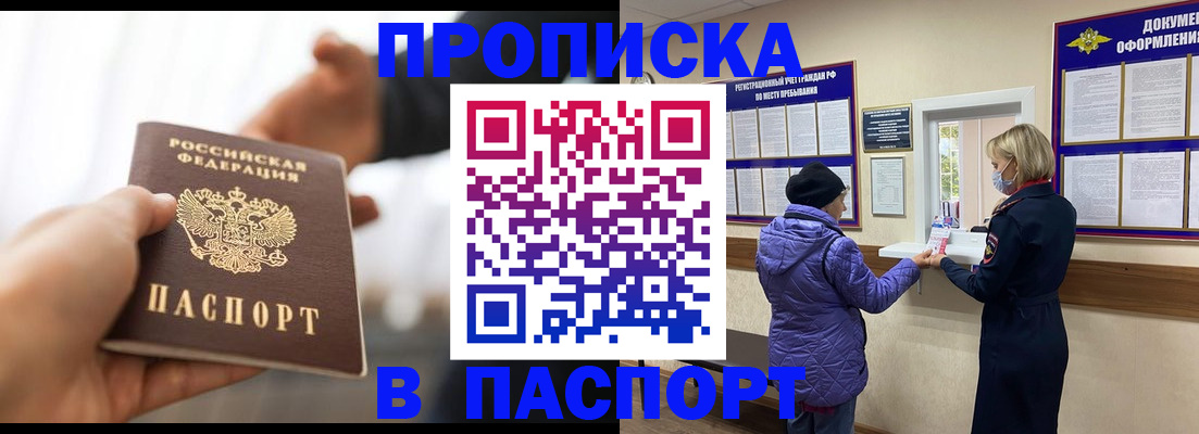 прописка законно в Бердске